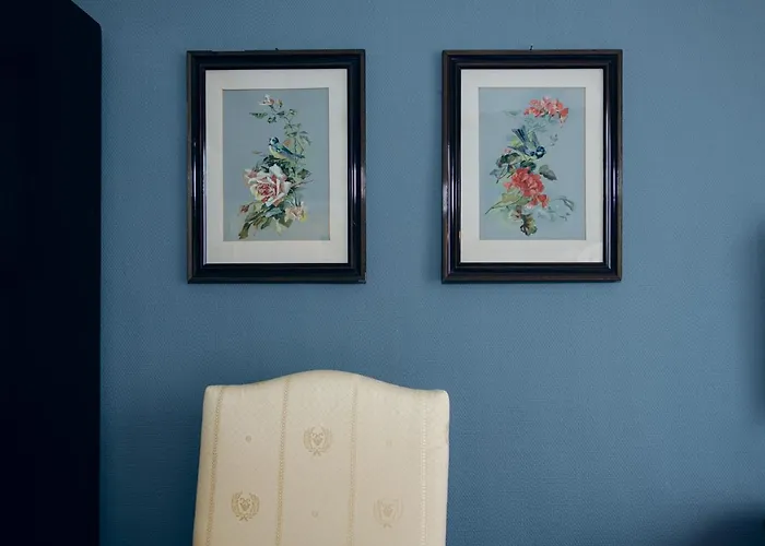 Hotel Bamberger Hof Bellevue 4*