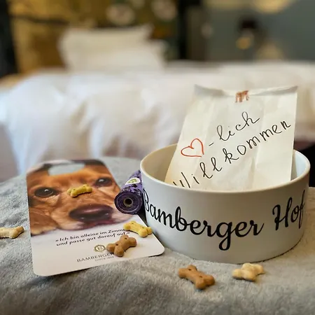 Hotel Bamberger Hof Bellevue 4*