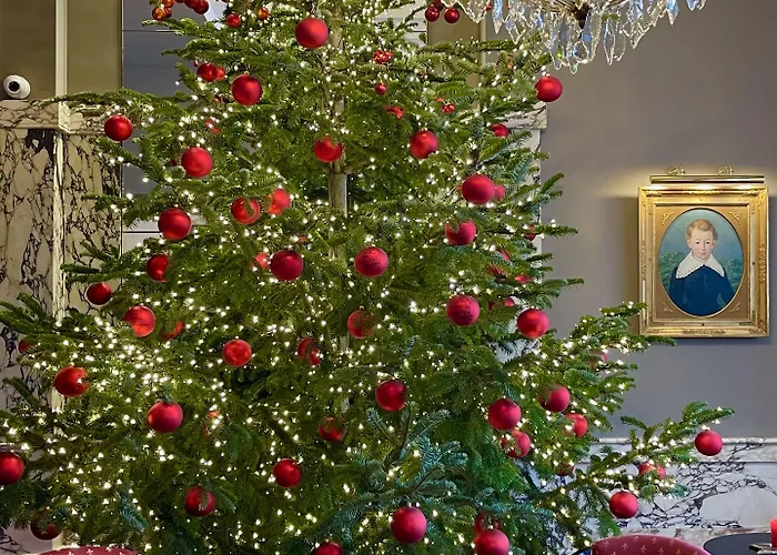 Bamberger Hof Bellevue Hotel Bamberg